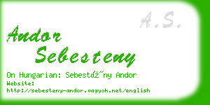 andor sebesteny business card